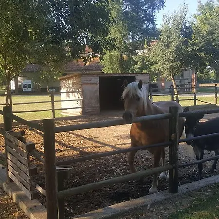 Agriturismo La Decima *