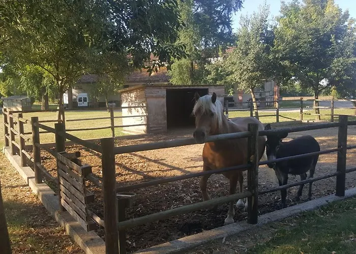 Agriturismo La Decima *